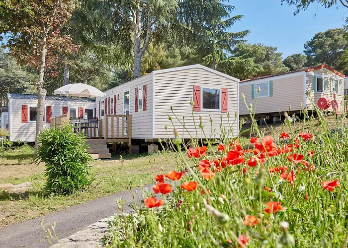 Domaine Residentiel De Plein Air Odalys La Pinede مكان تخييم 3*