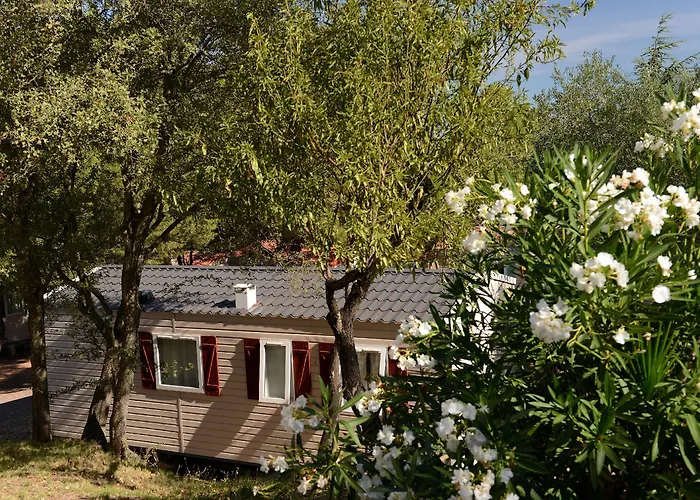 Domaine Residentiel De Plein Air Odalys La Pinede 3* آجد